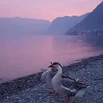 Bel Sit Hébergement de vacances Tremezzo