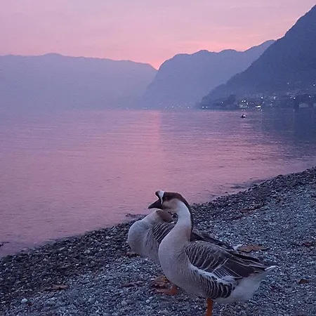 Bel Sit Hébergement de vacances Tremezzo