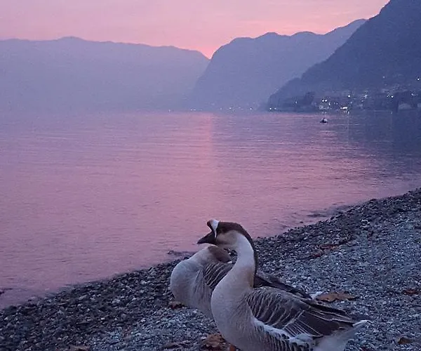 Bel Sit Casa vacanze Tremezzo